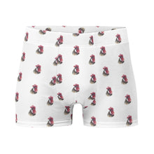 Load image into Gallery viewer, Gallito Boxer Briefs