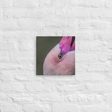 Load image into Gallery viewer, Flamingo Canvas