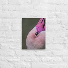 Load image into Gallery viewer, Flamingo Canvas