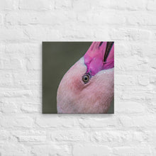 Load image into Gallery viewer, Flamingo Canvas