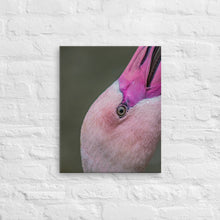 Load image into Gallery viewer, Flamingo Canvas