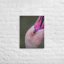 Load image into Gallery viewer, Flamingo Canvas