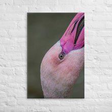 Load image into Gallery viewer, Flamingo Canvas