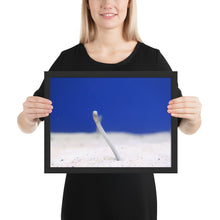 Load image into Gallery viewer, Eel