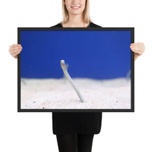 Load image into Gallery viewer, Eel