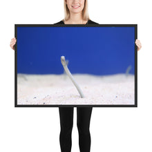 Load image into Gallery viewer, Eel