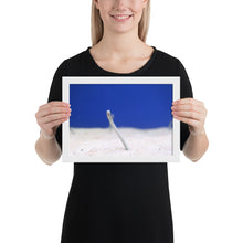 Load image into Gallery viewer, Eel