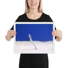 Load image into Gallery viewer, Eel