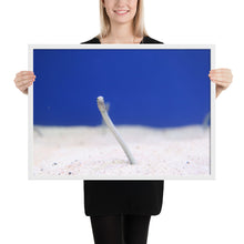 Load image into Gallery viewer, Eel