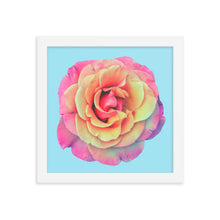 Load image into Gallery viewer, Rosè