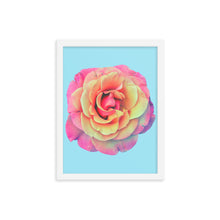 Load image into Gallery viewer, Rosè