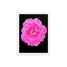 Load image into Gallery viewer, Rosa