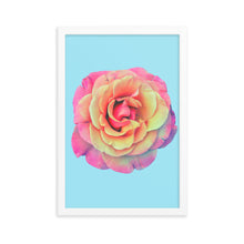 Load image into Gallery viewer, Rosè