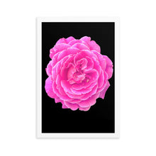 Load image into Gallery viewer, Rosa