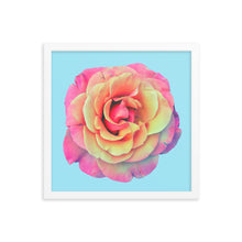 Load image into Gallery viewer, Rosè