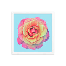 Load image into Gallery viewer, Rosè