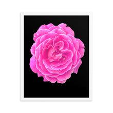 Load image into Gallery viewer, Rosa