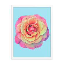 Load image into Gallery viewer, Rosè