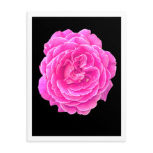 Load image into Gallery viewer, Rosa