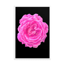 Load image into Gallery viewer, Rosa