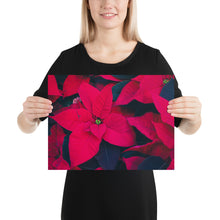 Load image into Gallery viewer, Print nochebuena