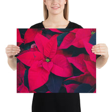 Load image into Gallery viewer, Print nochebuena