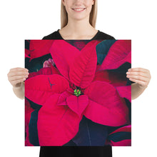 Load image into Gallery viewer, Print nochebuena