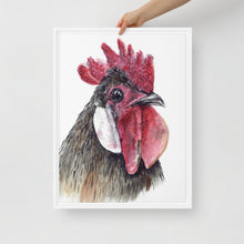 Load image into Gallery viewer, Gallito Framed canvas