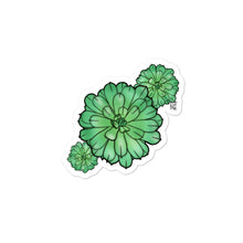 Load image into Gallery viewer, ZukuLentas