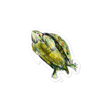 Load image into Gallery viewer, Tortuguita