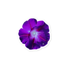 Load image into Gallery viewer, Ololiuqui sticker