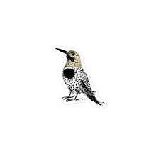 Load image into Gallery viewer, Woodpecker stickers