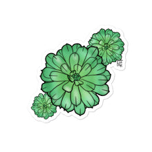 Load image into Gallery viewer, ZukuLentas