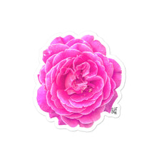 Load image into Gallery viewer, Rosa sticker