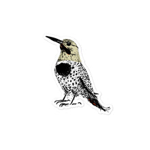Load image into Gallery viewer, Woodpecker stickers