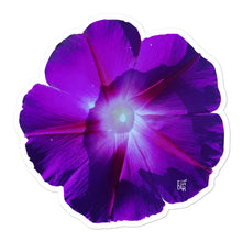 Load image into Gallery viewer, Ololiuqui sticker