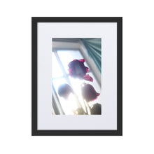 Load image into Gallery viewer, Rositas