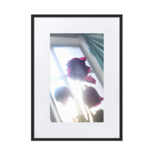 Load image into Gallery viewer, Rositas