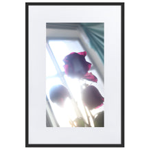 Load image into Gallery viewer, Rositas