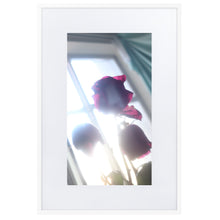 Load image into Gallery viewer, Rositas