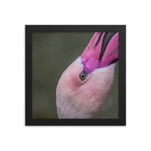 Load image into Gallery viewer, Flamingo Framed photo paper poster