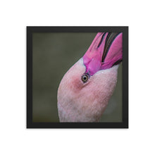 Load image into Gallery viewer, Flamingo Framed photo paper poster