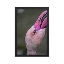 Load image into Gallery viewer, Flamingo Framed photo paper poster