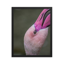 Load image into Gallery viewer, Flamingo Framed photo paper poster