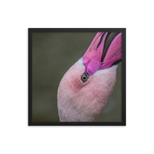 Load image into Gallery viewer, Flamingo Framed photo paper poster