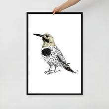 Load image into Gallery viewer, Woodpecker photo paper poster