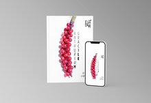 Load image into Gallery viewer, Anthurium gracile: La guía esencial para su cuidado y apreciación
