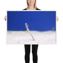 Load image into Gallery viewer, Eel

