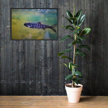 Load image into Gallery viewer, Rainbow Trout
