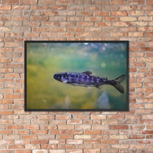 Load image into Gallery viewer, Rainbow Trout

